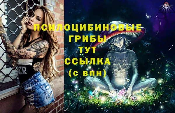 гидропоника Верхнеуральск